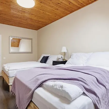 公寓 Castle View Rooftop Terrace Penthouse 5br Old Town