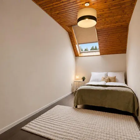Castle View Rooftop Terrace Penthouse 5br Old Town Apartmán Bratislava