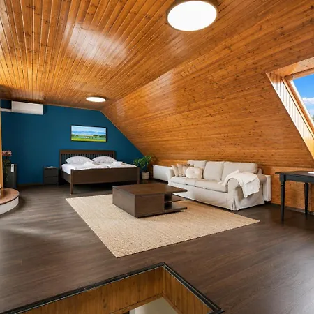 Castle View Rooftop Terrace Penthouse 5br Old Town Apartmán Bratislava